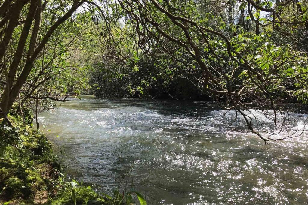 Cabin Fever On Cartecay River Ellijay Exterior foto